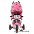 Велосипед трехколесный Profi Trike Hello Kitty HK 0118-02B